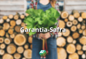 Confira aqui como o programa garantia safra funciona, e o quanto ele pode ser útil para você como agricultor.