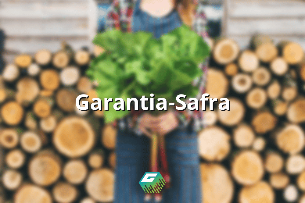 Confira aqui como o programa garantia safra funciona, e o quanto ele pode ser útil para você como agricultor.